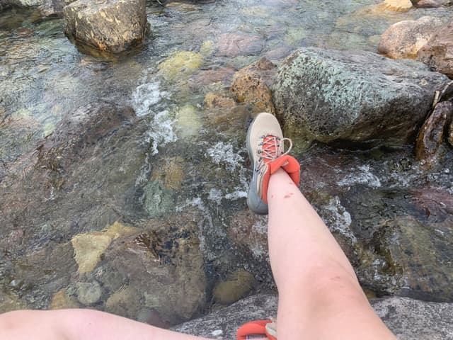 RanDOOMingCows OnlyFans creator