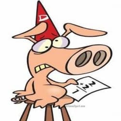 FindomPromo OnlyFans creator