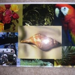 dyna kore OnlyFans creator