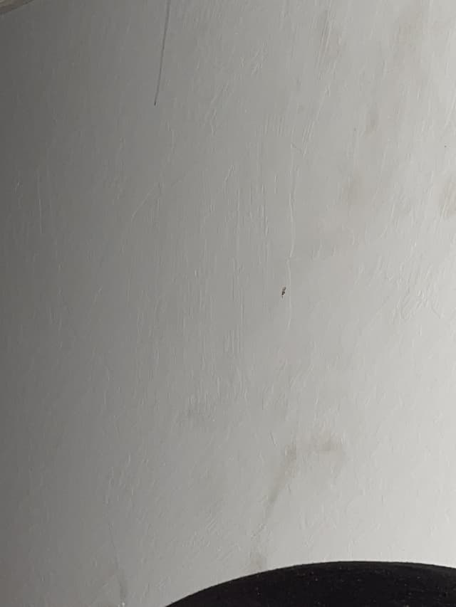 Josh Mendez OnlyFans creator