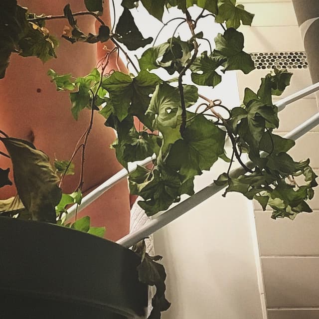 itty bitty billy bonka OnlyFans creator